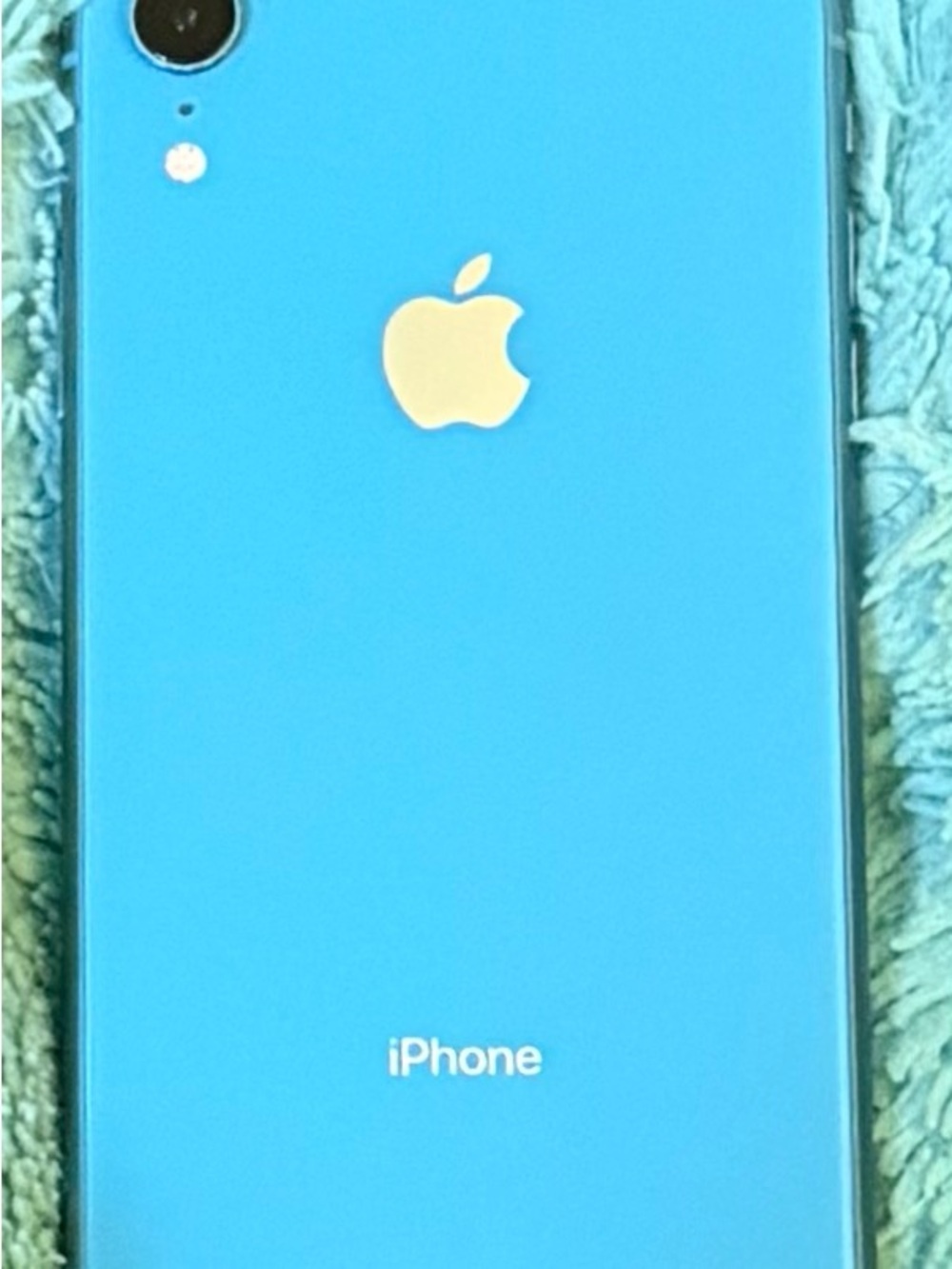 Apple iPhone Blue Back Panel with White Logo